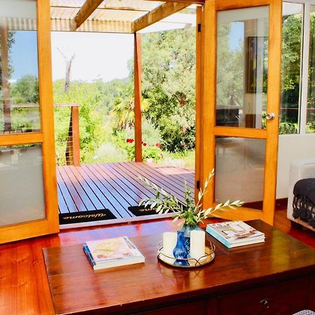 Nagoondie Studio Healesville Extérieur photo